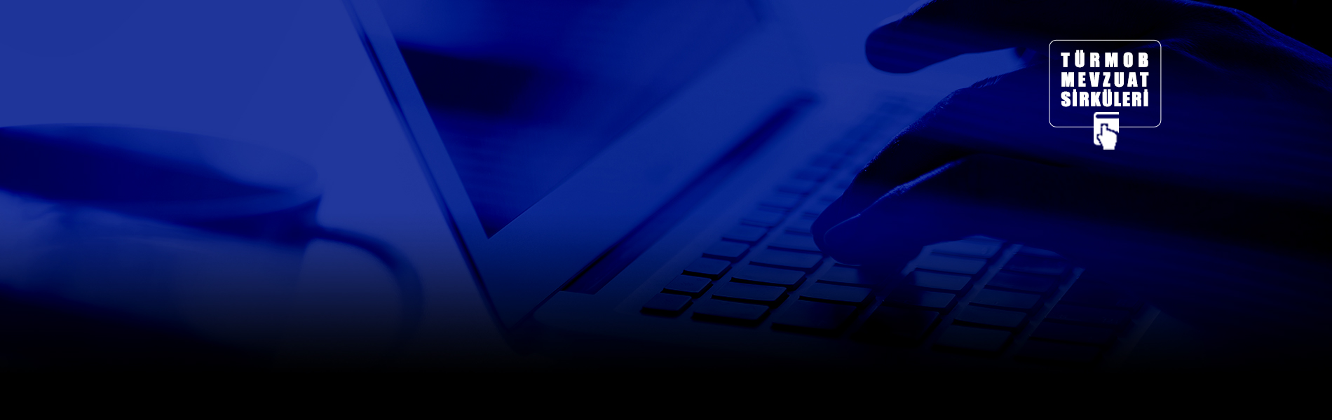 Elektronik Defter ve Belgelerin İbrazına İlişkin Elektronik Veri İbraz Sistemi (E-VİZ)