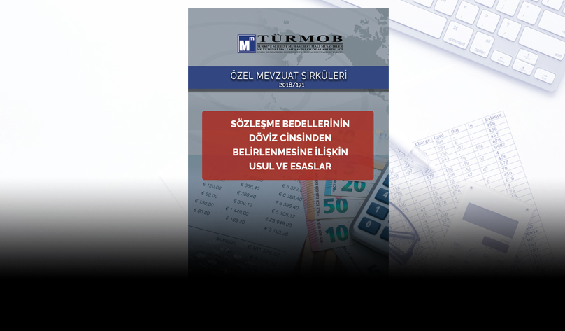 Özel Sirküler: Sözleşme Bedellerinin Döviz Cinsinden Belirlenmesine İlişkin Usul ve Esaslar