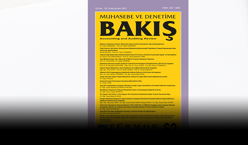 Muhasebe ve Denetime Bakış Dergisi 62. Sayısı