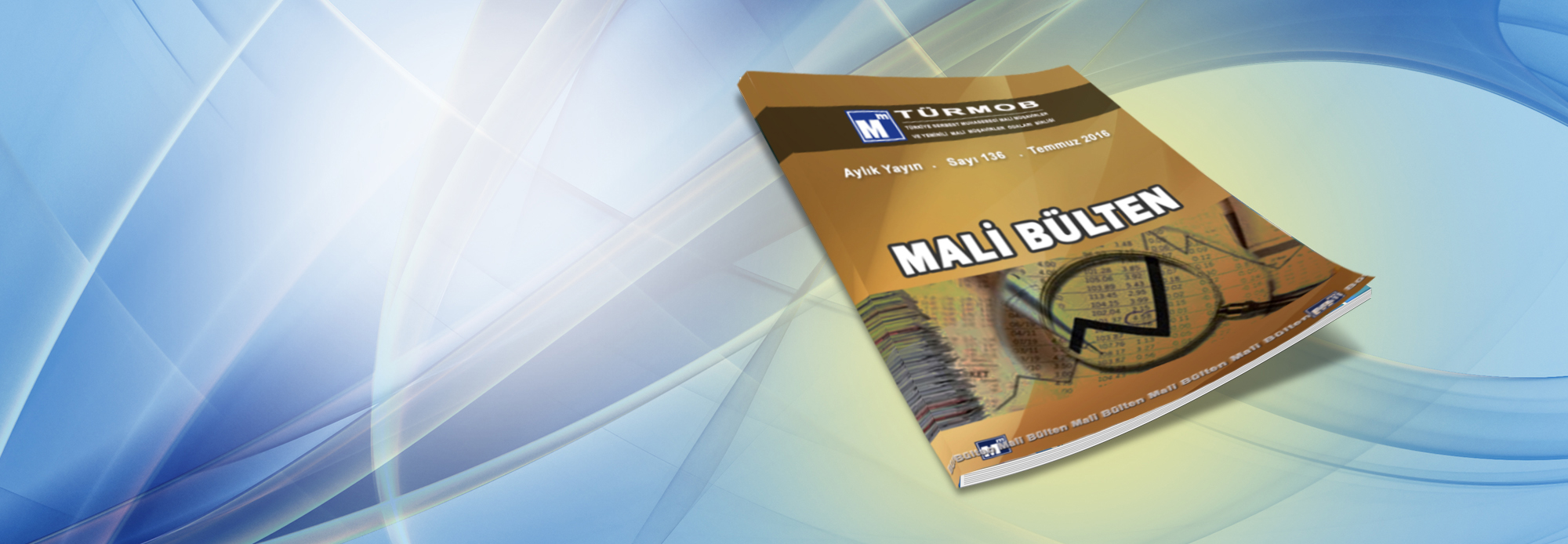 Mali Bülten Temmuz Sayısı