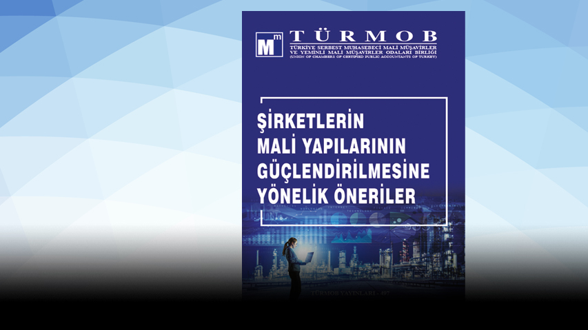Şirketlerin Mali Yapılarının Güçlendirilmesine Yönelik Öneriler Raporu