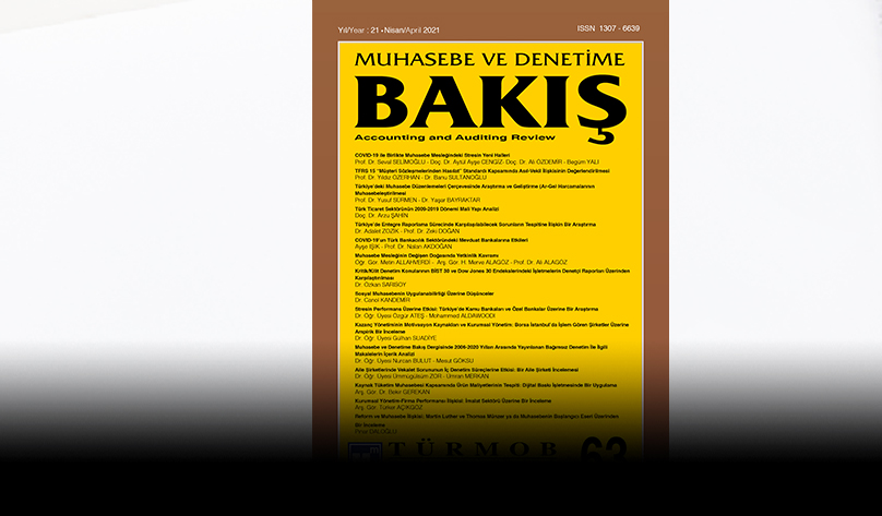 Muhasebe ve Denetime Bakış Dergisi 63. Sayısı