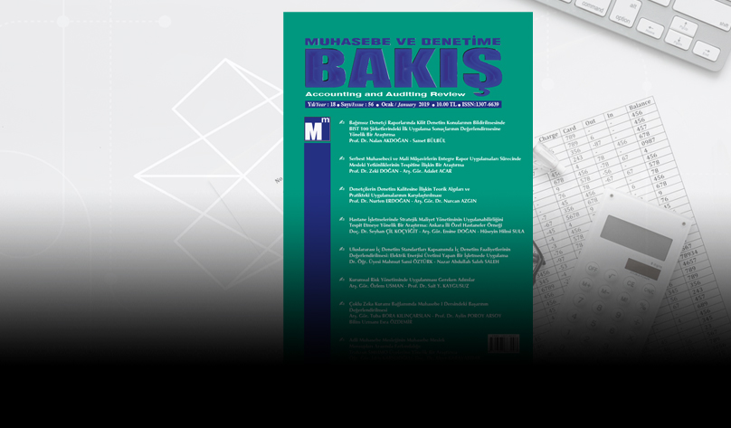 Muhasebe ve Denetime Bakış Dergisi 56. Sayısı Yayında